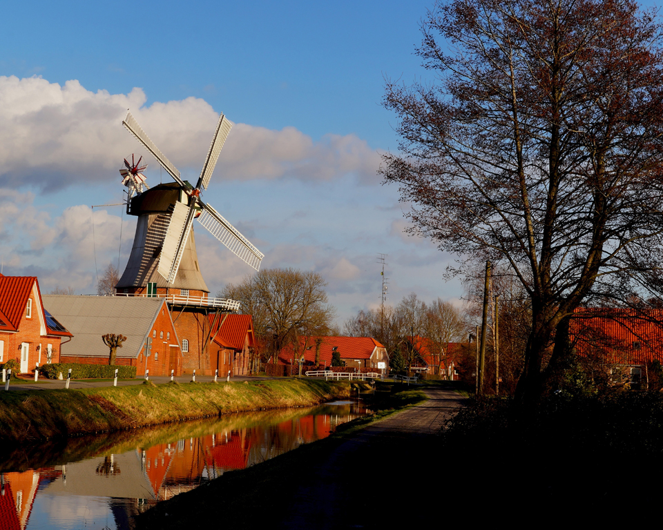 landscape-windmill.jpg